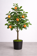 Heineken Host Display Trees (SoCal Only)- Nectarine