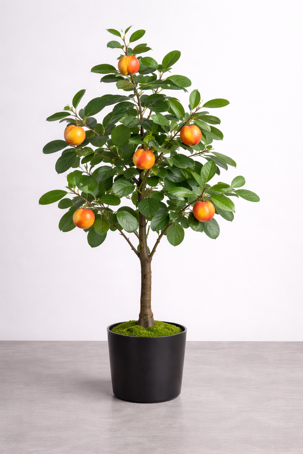 Heineken Host Display Trees (SoCal Only)- Nectarine