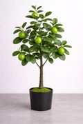 Heineken Host Display Trees (SoCal Only)- Lime